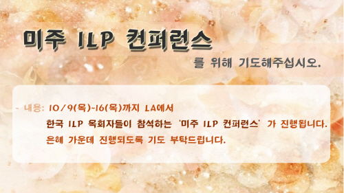 11미주ILP.jpg