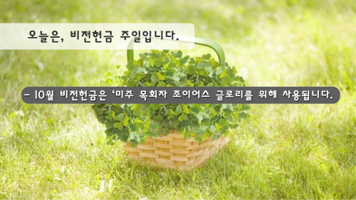 11비전헌금.jpg
