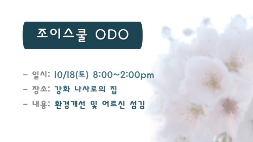 11조이스쿨.jpg