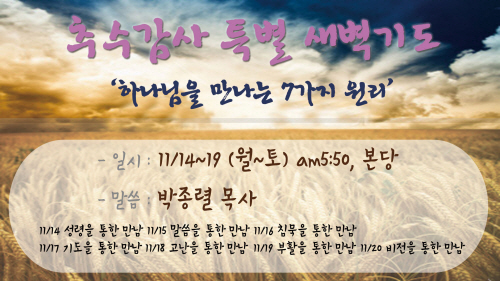 20111113_03.jpg
