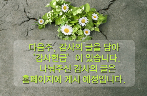 20110911_03.jpg