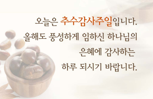 20111120_06.png