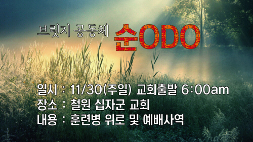 bridge_1bridge_ODO.jpg