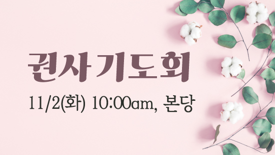 권사1.jpg