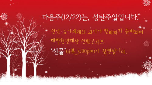 크기변환_(수정)성탄주일.jpg